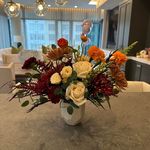 Tracy Bauer Colantuono - @tracyc48 - Instagram