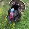 Tracy Booker - @tracy.booker30 - TikTok