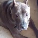 Traci Booth - @traci_booth - Instagram
