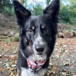 Tracy Bowman - @_tracy_bowman_ - Instagram