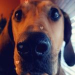 Traci Brady Frost - @traci.b.frost - Instagram