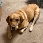 Tracy Brady - Facebook