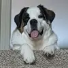 brooke_traci - @brooke_traci - TikTok