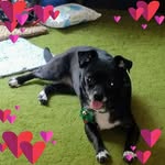 Traci L Buckner - @traci.lbuckner - Instagram