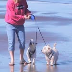Tracy Buckner - @tracy.buckner.58 - Instagram