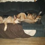 Traci Butler - @tracibutler7773 - Instagram