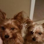 Traci Butler - @tr.ch72 - Instagram