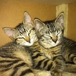 Traci Carr - @carrt2277 - Instagram