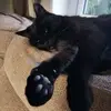 tracicarr358 - @tracicarr358 - TikTok