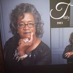 Tracy Casey Woods - @tracycaseywoods - Instagram