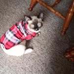 Traci Cole - @singwithme79 - Instagram