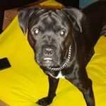 Tracy Collier - @tracy.collier.7186 - Instagram