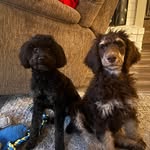 Traci Cox Westling - @trey_westling - Instagram