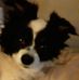 Traci Daniel - Facebook