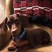 Traci Daniels - Facebook