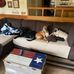 Traci Dodson - Facebook