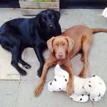 Tracy English - @tracytinks1 - Instagram