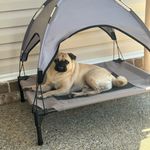 Tracy Ferrell - @tlferrell - Instagram