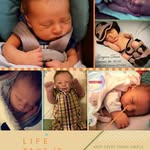 Traci Fields - @fieldstraci - Instagram