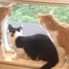 Traci Floyd - @traci.floyd - TikTok