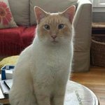 Traci Floyd Chapman - @chapmantraci - Instagram