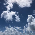 Traci Floyd, LPC - @traystherapycorner - Instagram