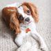 Traci Francis - Facebook
