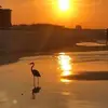Traci Gentry - @tracigentry1 - TikTok
