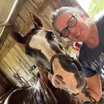 Traci Gray Stahl - @tracigraystahl - Instagram