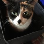 Tracie Haas - @tracie.haas - Instagram