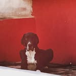 Tracy Hanson - @thanson_abstractartist - Instagram