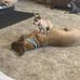 Tracy Harmon - Facebook