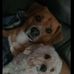 Traci York Herrington - Facebook