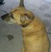 Traci Hoffman - Facebook
