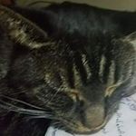 Traci Holt - @traciholt143 - Instagram
