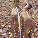 Tracy Horner - @tracy.horner.37 - Instagram