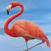 Traci Howard829 - @tracihoward4 - TikTok