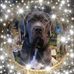 Tracy Howard - Facebook