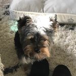 Traci Hunter - @tracihunter4734 - Instagram