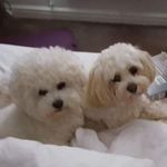 Tracy Isbell - @tracy.isbell.33 - Instagram