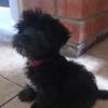 Tracito - @tracito_ - TikTok