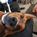 Traci Johnston - @johnston8357 - Instagram