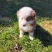 Tracey Kline - Facebook