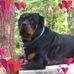 Tracey Kline - Facebook