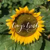 Tracy Layne - @tracys_trends - TikTok