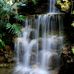 Traci Lea Photography - Facebook