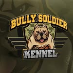 Tracy Leon Alexander - @bullysoldier_kennel - Instagram