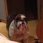 Traci Baltrus Leonard - @tmbaltrus - Instagram