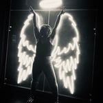 Tracy Lyons - @tracylyons - Instagram