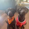 Traci_Mallory - @traci_mallory - TikTok